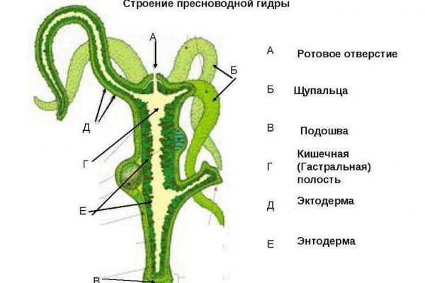 Не могу зайти на сайт кракен