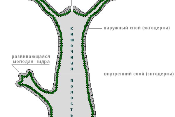 Рабочая ссылка кракен маркетплейс