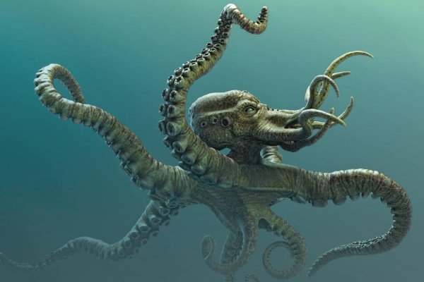 Solaris kraken